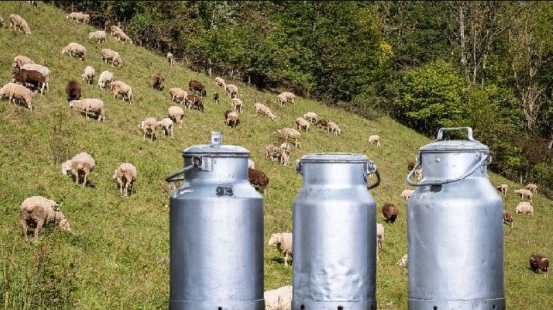 Κραυγή αγωνίας από κτηνοτρόφους: «Έρχονται αυξήσεις 60%»